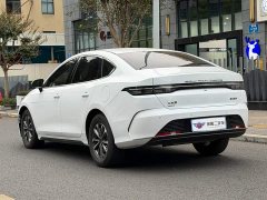 BYD Destroyer 05 Glory Edition DM-i 55KM Luxury - ფოტო 4