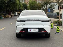 BYD Destroyer 05 Glory Edition DM-i 55KM Luxury - ფოტო 5