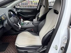 BYD Destroyer 05 Glory Edition DM-i 55KM Luxury - ფოტო 8