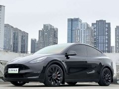 Tesla Model Y Performance All-Wheel Drive - ფოტო 1