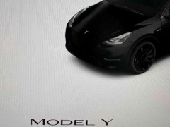 Tesla Model Y Performance All-Wheel Drive - ფოტო 10