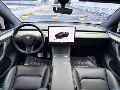 Tesla Model Y Performance All-Wheel Drive - ფოტო 12