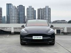 Tesla Model Y Performance All-Wheel Drive - ფოტო 2