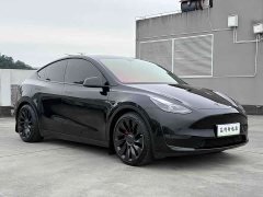 Tesla Model Y Performance All-Wheel Drive - ფოტო 3