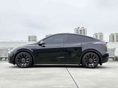 Tesla Model Y Performance All-Wheel Drive - ფოტო 5