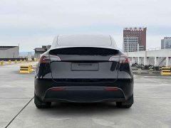Tesla Model Y Performance All-Wheel Drive - ფოტო 6