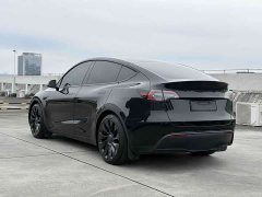 Tesla Model Y Performance All-Wheel Drive - ფოტო 7