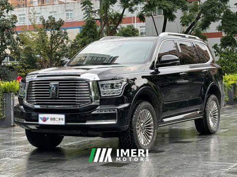 2024 Tank 500 3.0T Business Edition Landscape Version 5-Seater - ავტომობილი ჩინეთიდან