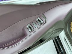 XPeng P7 702 Max - ფოტო 16