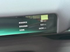 XPeng P7 702 Max - ფოტო 19