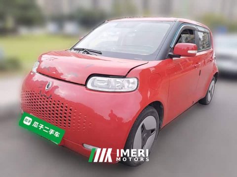 2021 ORA White Cat 360km Luxury - ავტომობილი ჩინეთიდან