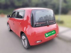 ORA White Cat 360km Luxury - ფოტო 4