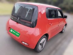 ORA White Cat 360km Luxury - ფოტო 6