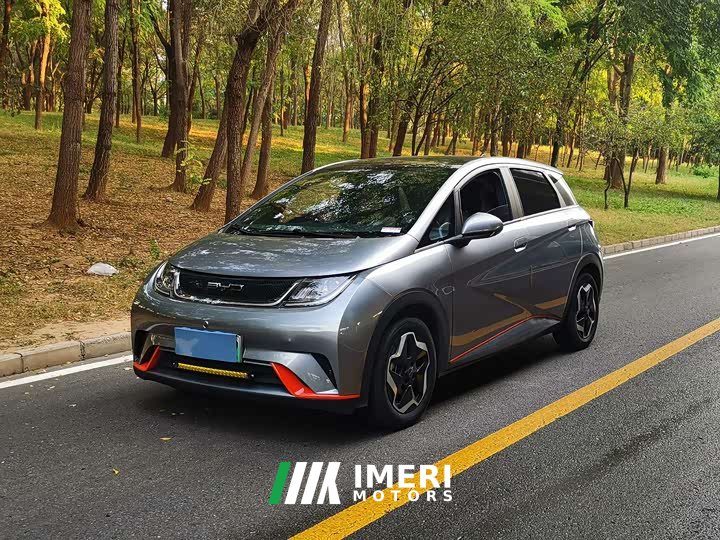 BYD Dolphin 405km Fashion Edition - ავტომობილი ჩინეთიდან