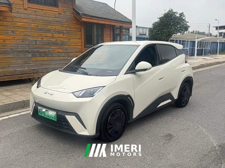 BYD Seagull 305km Vitality Edition