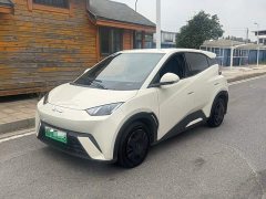 BYD Seagull 305km Vitality Edition - ფოტო 1