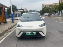 BYD Seagull 305km Vitality Edition - ფოტო 2