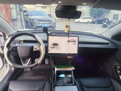 Tesla Model 3 Long Range All-Wheel Drive - ფოტო 5
