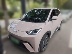 BYD Seagull Glory Edition 405km Flying Edition - ფოტო 1