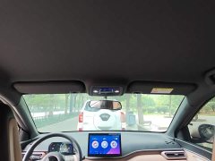 BYD Seagull Glory Edition 405km Flying Edition - ფოტო 14