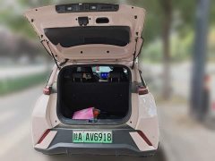 BYD Seagull Glory Edition 405km Flying Edition - ფოტო 15