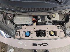 BYD Seagull Glory Edition 405km Flying Edition - ფოტო 16
