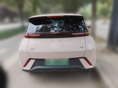 BYD Seagull Glory Edition 405km Flying Edition - ფოტო 3