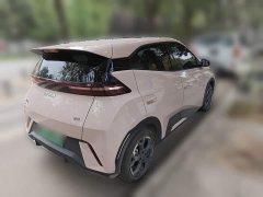 BYD Seagull Glory Edition 405km Flying Edition - ფოტო 4