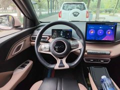 BYD Seagull Glory Edition 405km Flying Edition - ფოტო 6