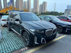 BMW X5 xDrive 30Li M Sport Package - фото 3