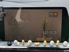 Haval Mythical Beast 1.5T Supreme Edition - ფოტო 12