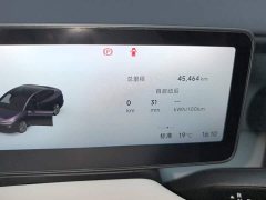 Leapmotor B01 650 Pleasure Edition - photo 13