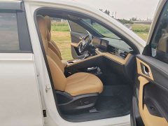 SAIC MG RX5 New Energy eRX5 Super Hybrid Premium Edition - ფოტო 8