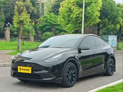 Tesla Model Y Rear-Wheel Drive - фото 1