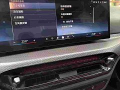 BMW 3 Series 330Li M Sport Night Edition Package - ფოტო 9