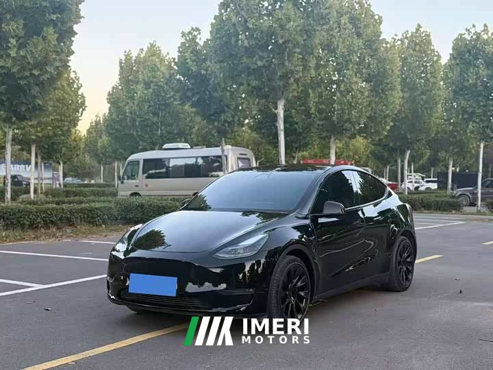 Tesla Model Y Standard Range RWD - car from China