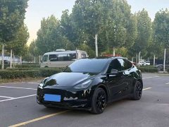 Tesla Model Y Standard Range RWD - photo 1