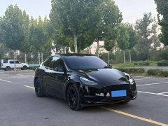Tesla Model Y Standard Range RWD - photo 3