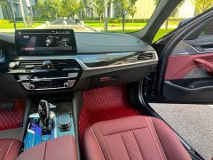 BMW 5 Series Facelift 530Li Premier M Sport Package - photo 19