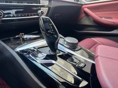 BMW 5 Series Facelift 530Li Premier M Sport Package - photo 9