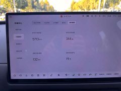 Li Auto i8 Standard Edition - ფოტო 9