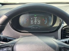 Chery Ant Sweet Pink Half-Sugar Phosphate Iron Lithium 30kW 301km - photo 11