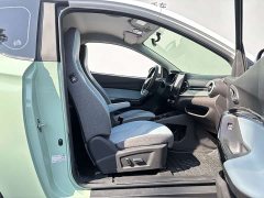 Chery Ant Sweet Pink Half-Sugar Phosphate Iron Lithium 30kW 301km - photo 18