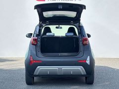Chery Ant Sweet Pink Half-Sugar Phosphate Iron Lithium 30kW 301km - photo 7