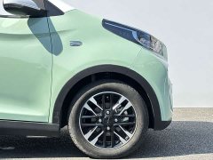 Chery Ant Sweet Pink Half-Sugar Phosphate Iron Lithium 30kW 301km - photo 8