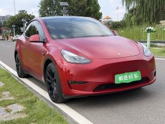 Tesla Model Y Long Range All-Wheel Drive - ფოტო 3