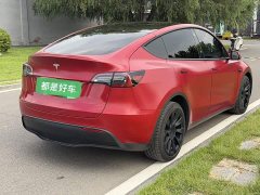 Tesla Model Y Long Range All-Wheel Drive - ფოტო 6