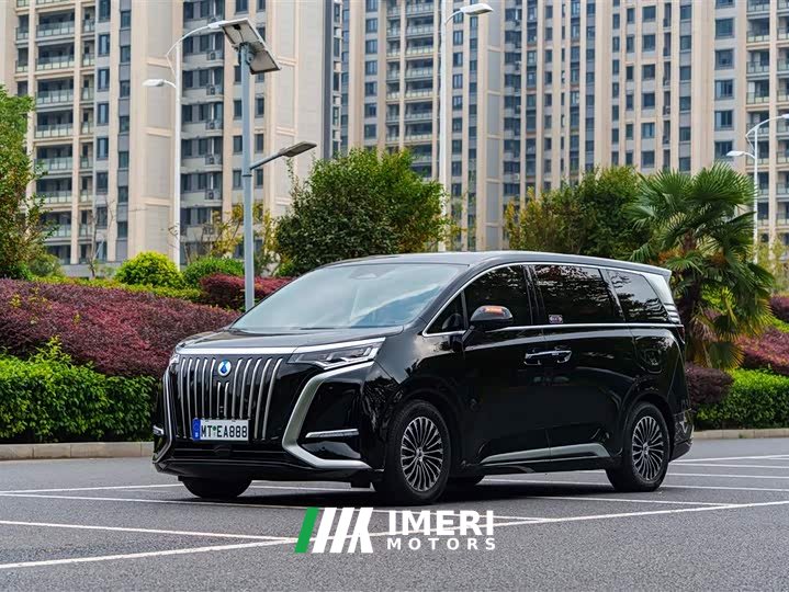 Denza D9 EV 600 AWD Luxury - car from China