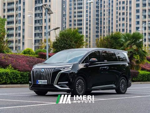2024 Denza D9 EV 600 AWD Luxury - car from China