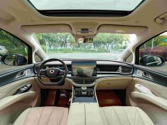 Denza D9 EV 600 AWD Luxury - photo 14